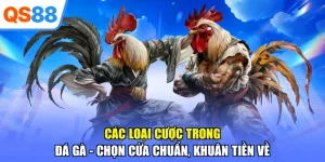 Các Loại Cược Trong Đá Gà - Chọn Cửa Chuẩn, Khuân Tiền Về