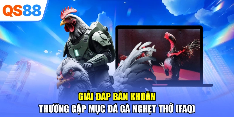 Giải đáp băn khoăn thường gặp mục đá gà nghẹt thở (FAQ)